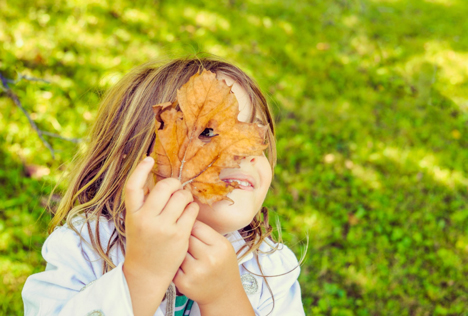 Common Fall Allergies and One Great Solution