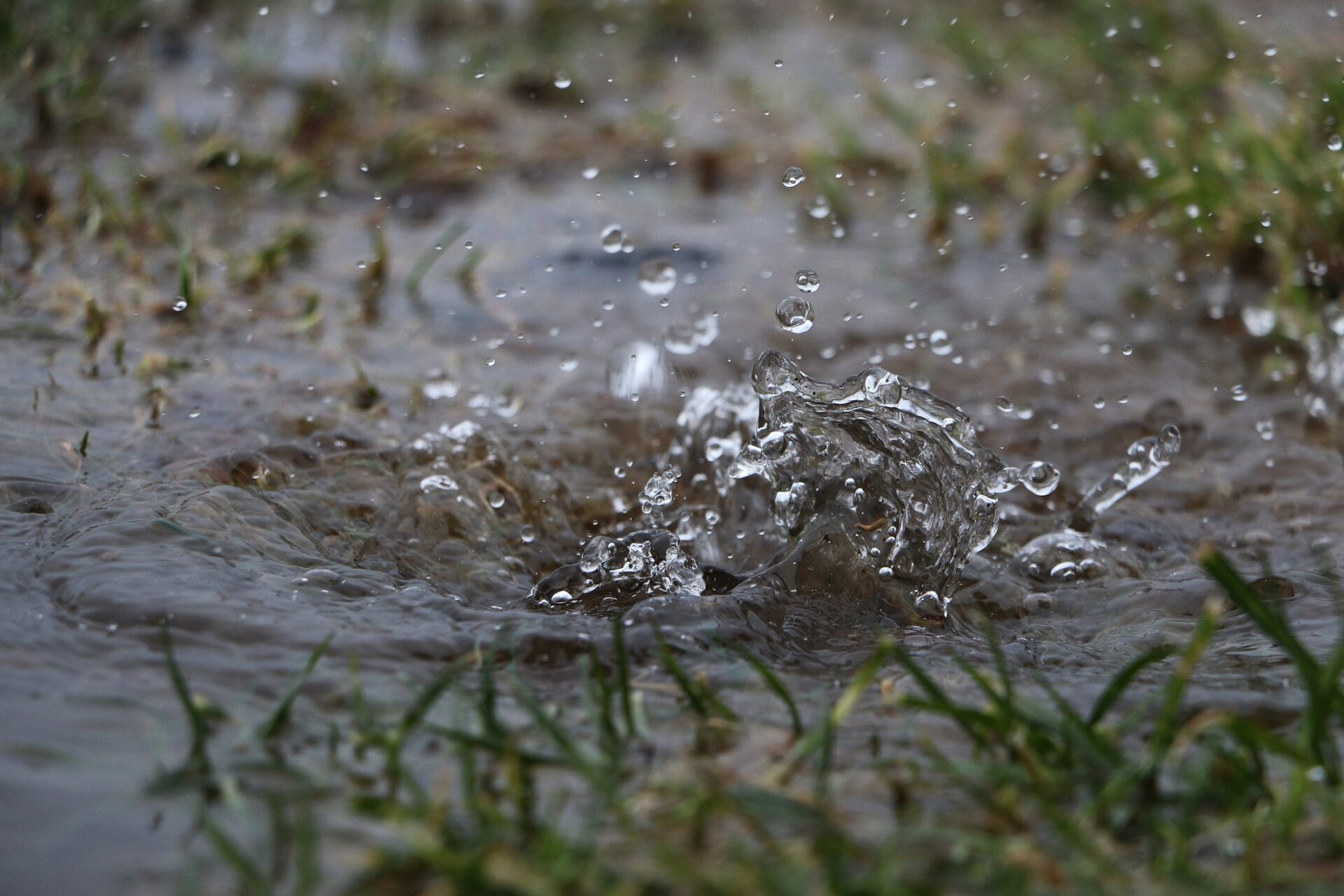 How to Prevent a Soggy Lawn