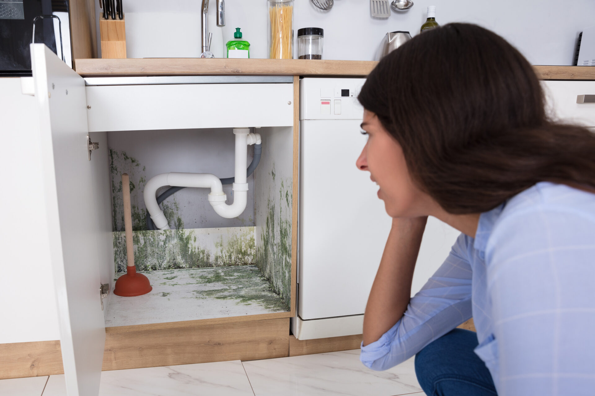 Mold growing under a sink causing distress to a woman