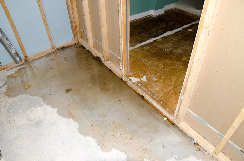 Water leaking through a basement wall and pooling on the concrete floor.