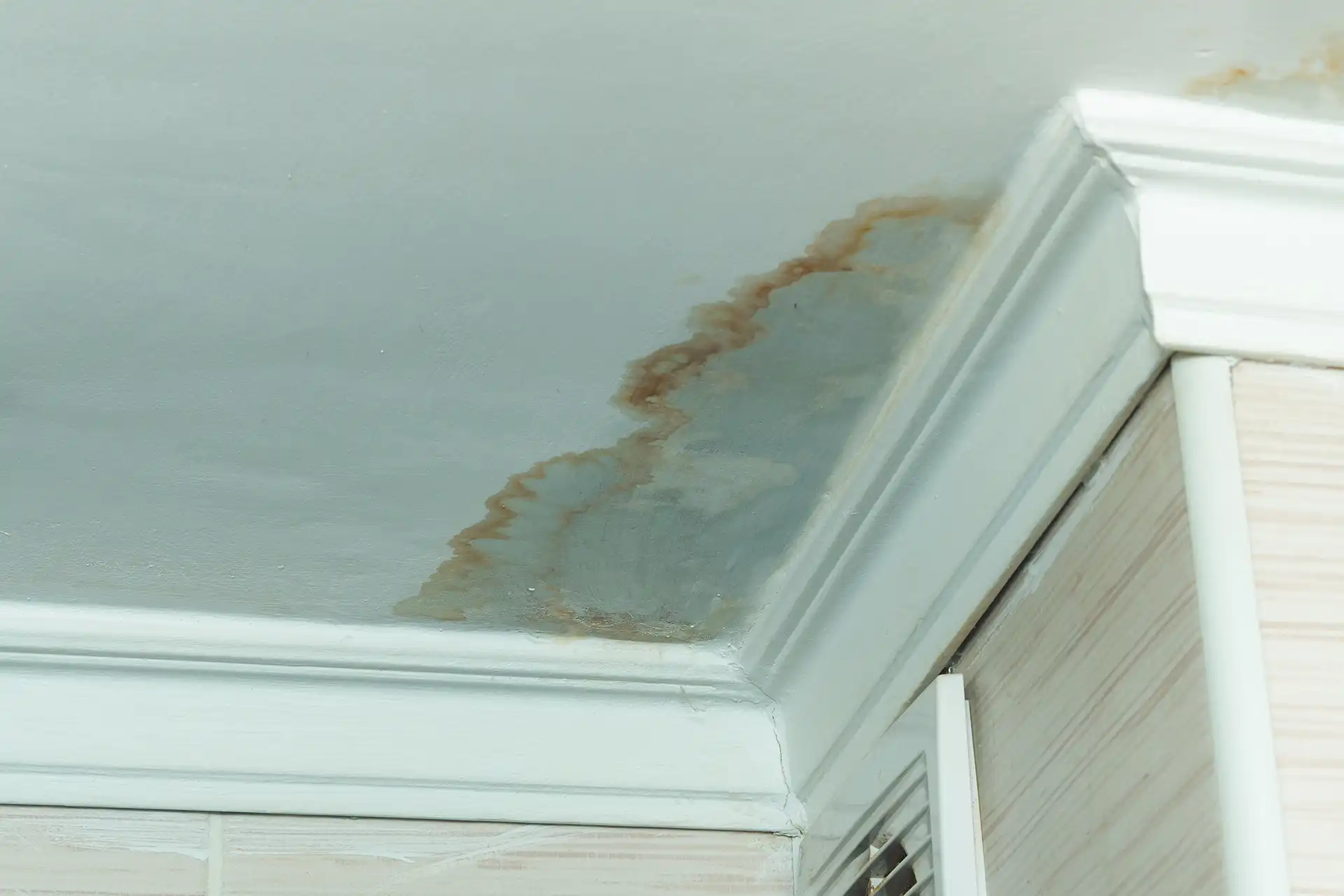 Water damage and stain on ceiling from a water leak